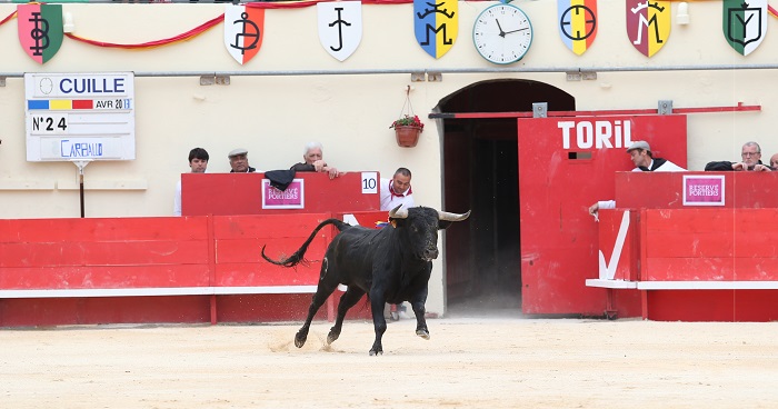 Novillada indulto Cuillé Manolo Vanegas Juan Carlos Carballo (Photo Anthony Maurin) (2)