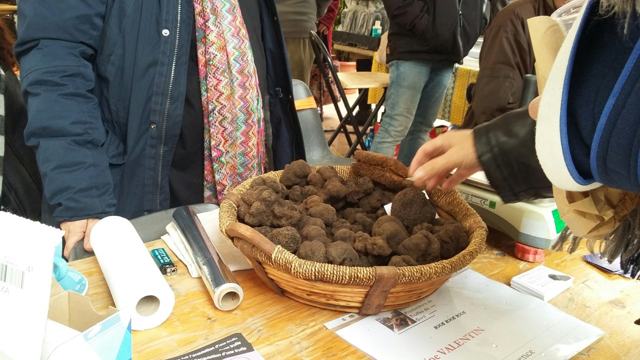 Les truffes noires de la place du marché. Photo Tony Duret / Objectif Gard 