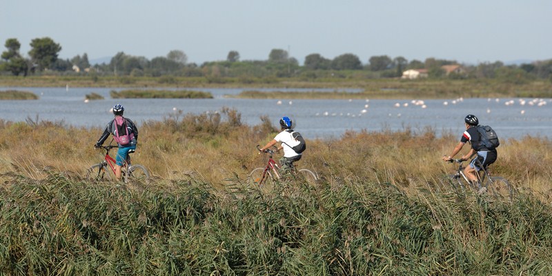 La voie verte de l'Espiguette est une solution pour une sortie sportive, gratuite et familiale. (Photo DR)