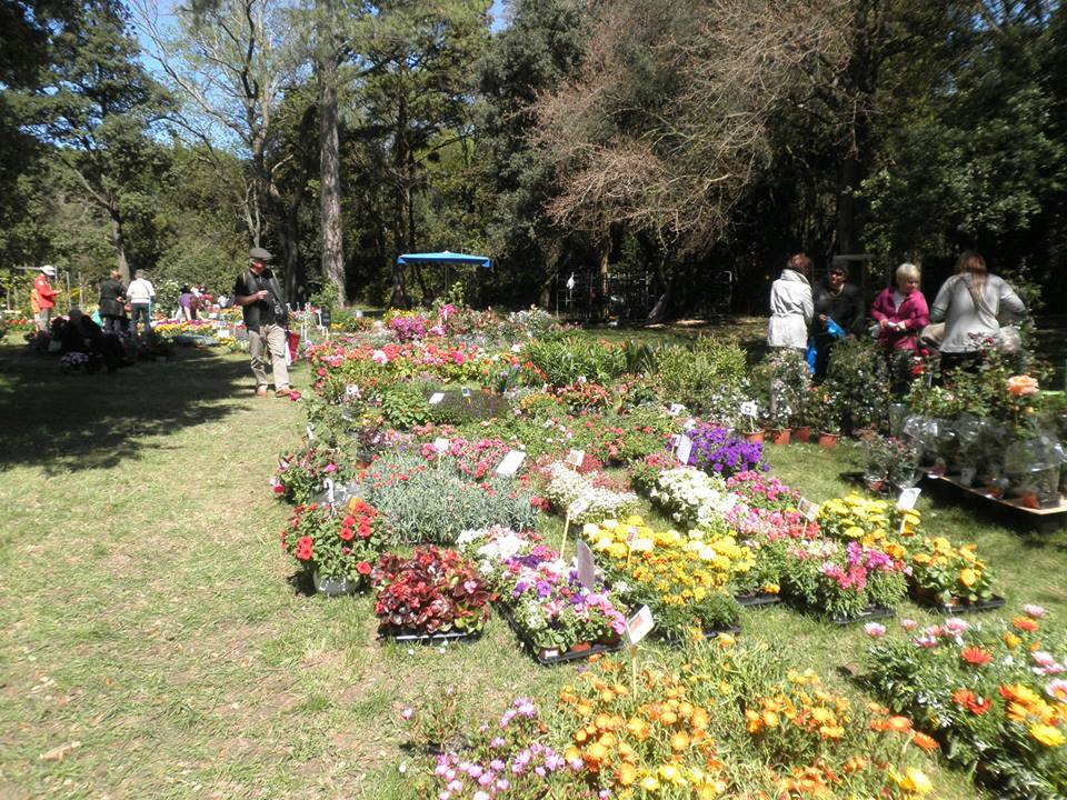 floralies-campuget3