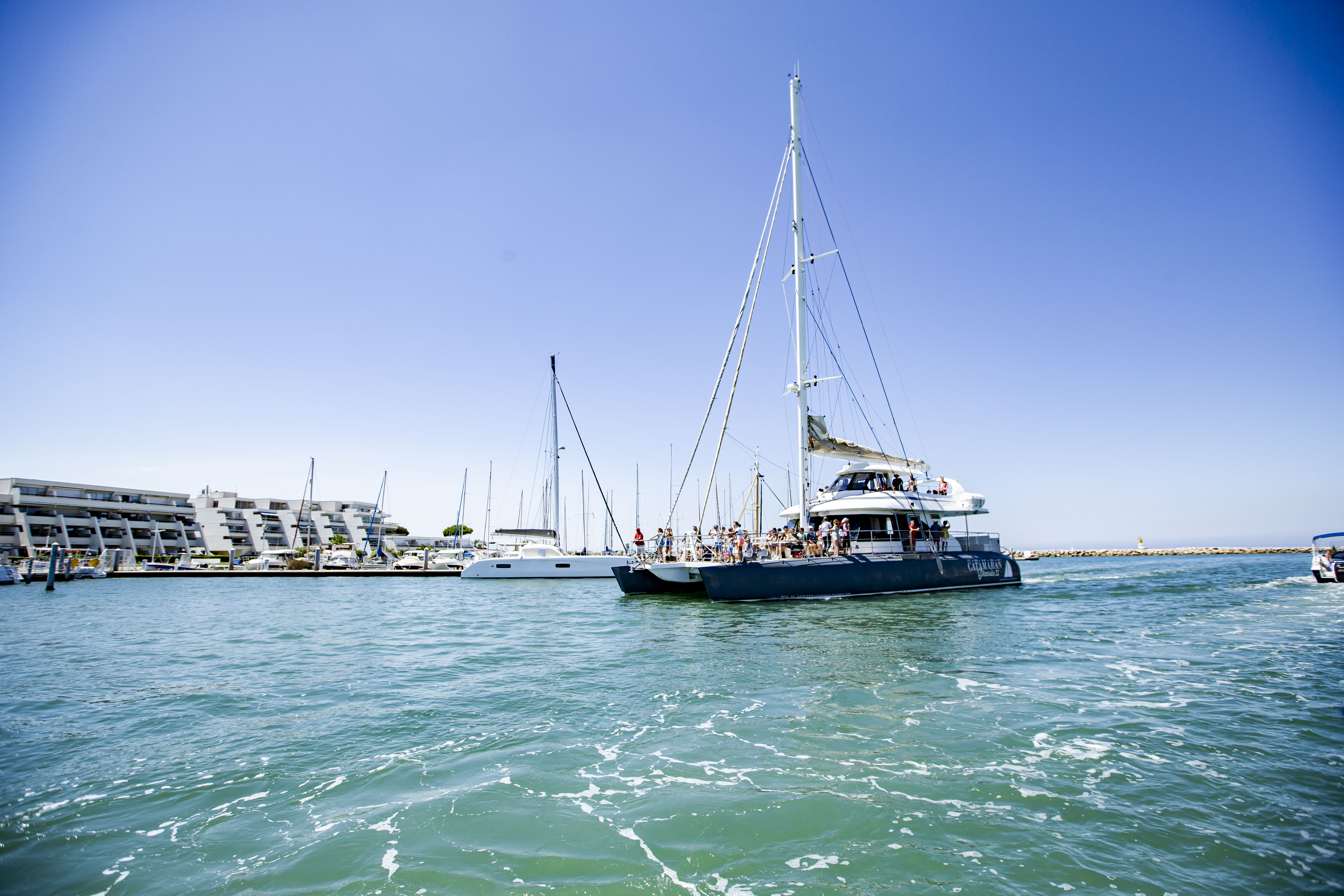 STAGE « CARNET DE VOYAGE » en Camargue - La Table à Rallonge