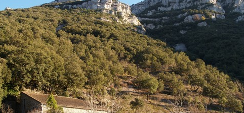 sud-cevennes