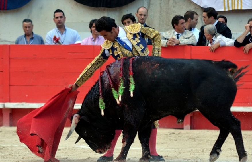 novillada-corrida-2015-feria-nimes