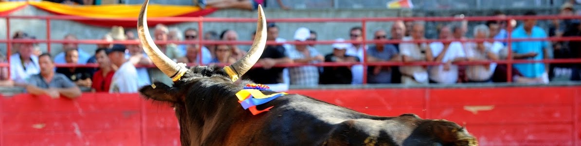 Course Camarguaise 005