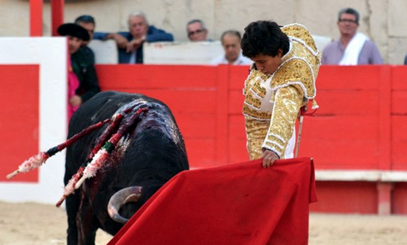 novillada-corrida-2015-feria-nimes