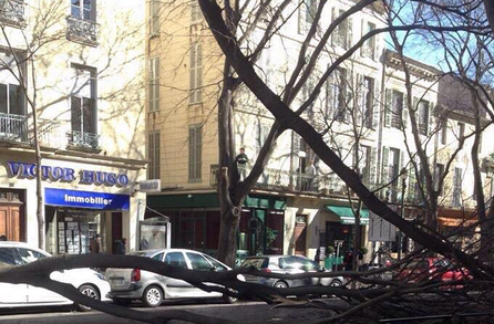 vent-violent-arbres-victor-hugo-nimes