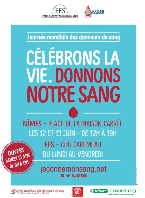 Affiche JMDS Nimes