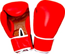 gant-de-boxe