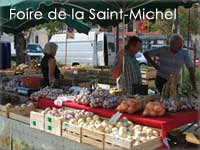 foire_st_michel2013