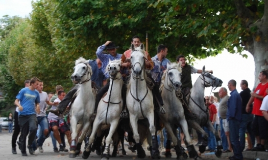 Photo DR/ Mairie de Ribaute-les-Tavernes.