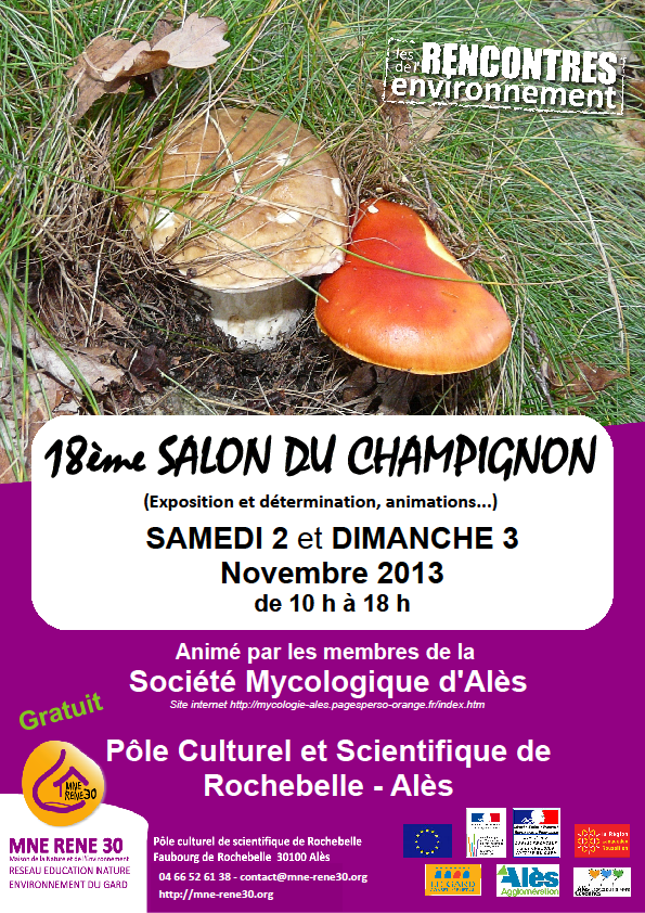 affiche champignons